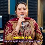 Sok Chi Nawe Nawe Yar Zanla Gori