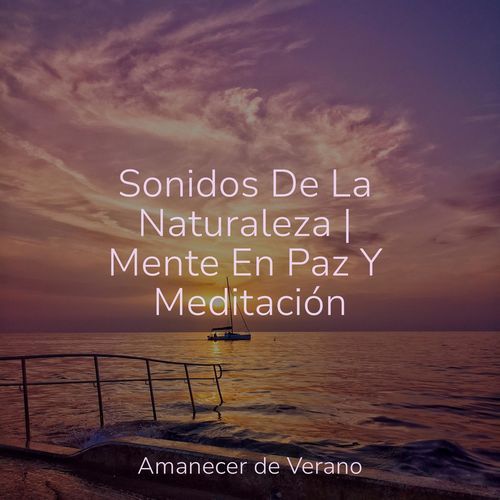 Sonidos De La Naturaleza | Mente En Paz Y Meditación