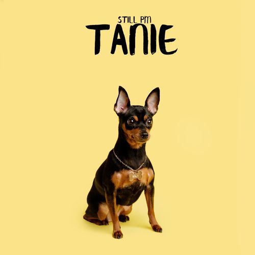 Tanie (feat. HOJAE) cover art