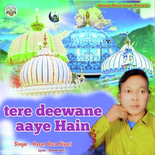 Tere Deewane Aaye Hain