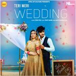 Teri Meri Wedding