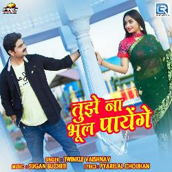 Tuje Na Bhul Payenge