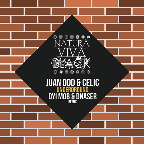 Underground (DYI Mob & dnaser Remix) cover art