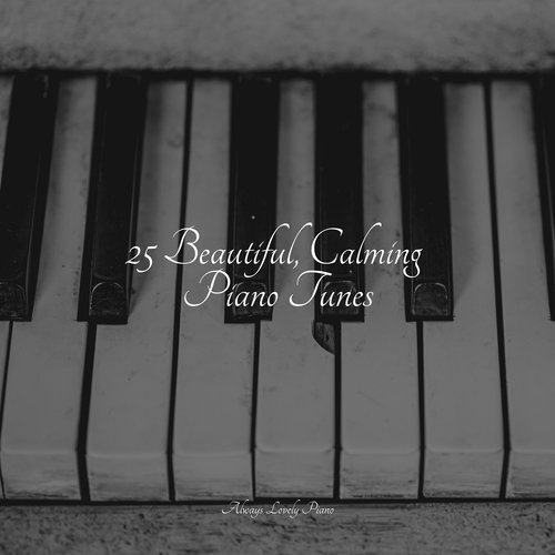 25 Beautiful, Calming Piano Tunes_poster_image