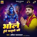 Bhole Tere Charno Ki