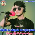 Bijali se chipak mar jau janu