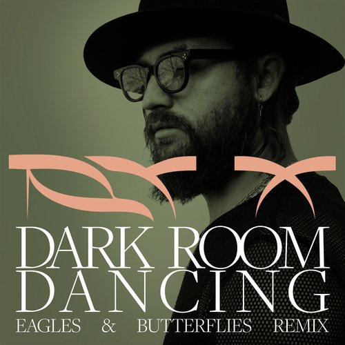 Dark Room Dancing (Eagles &amp; Butterflies Remix)
