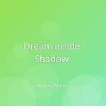 Dream inside Shadow