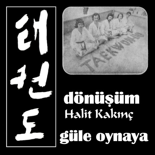 Güle Oynaya_poster_image