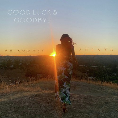 Good Luck &amp; Goodbye_poster_image