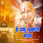 Hey Prabhu Tumhari Maya