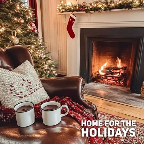 Home for the Holidays_poster_image