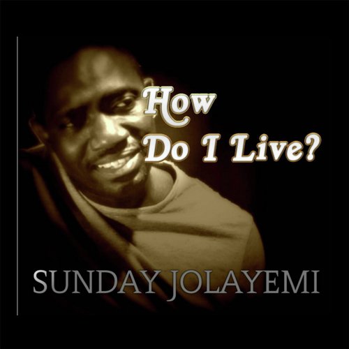 How Do I Live (Remix)_poster_image