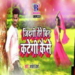 Jindgi Tere Bin Kategi Kaise - Single