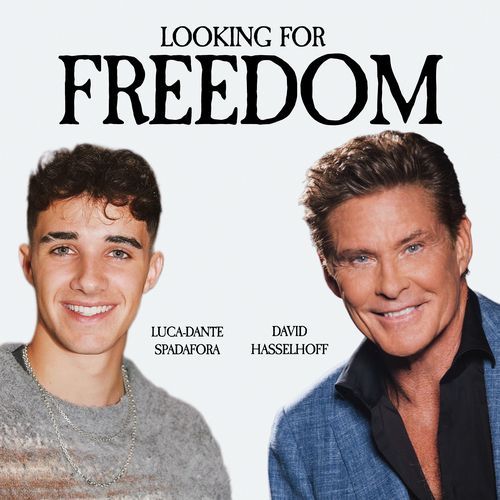 Looking for Freedom_poster_image