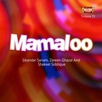 Shaadi Ka Introduction