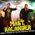 Mast Kalander