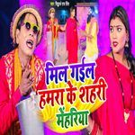Mil Gail Hamara Ke Shahari Mehariya