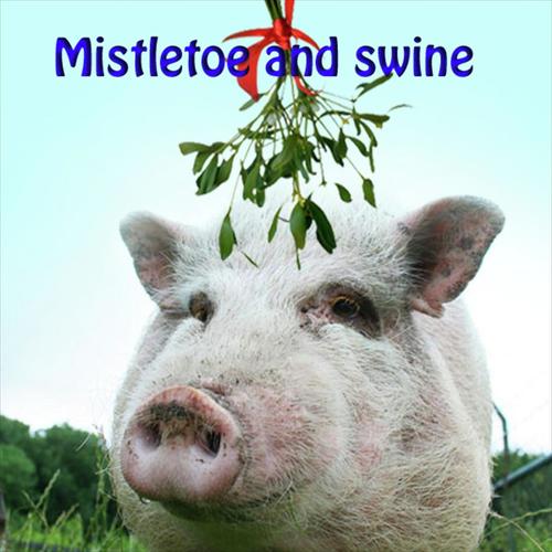 Mistletoe and swine