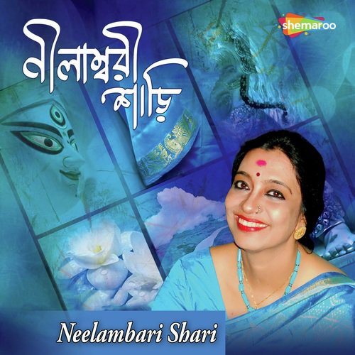 Neelambari Shari Pori