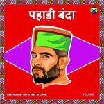 Pahadi Banda