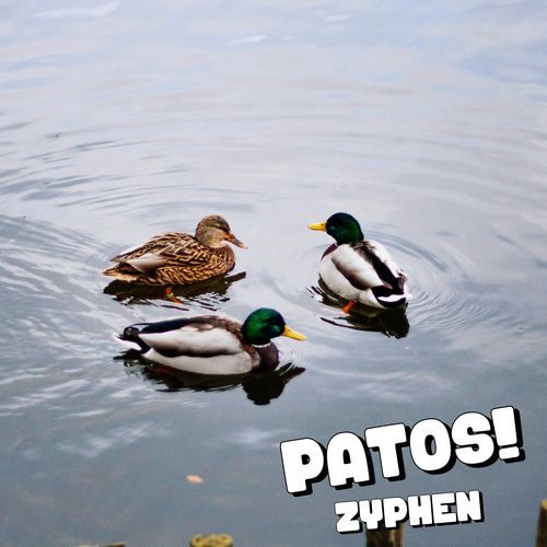 Patos!