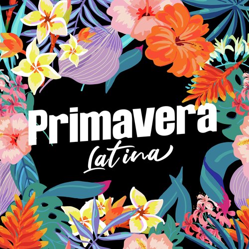 Hola Soledad Lyrics - Primavera Latina - Only on JioSaavn