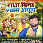 Radha Bina Shyam Adhura