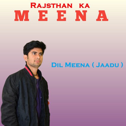 Rajasthan Ka Meena cover art
