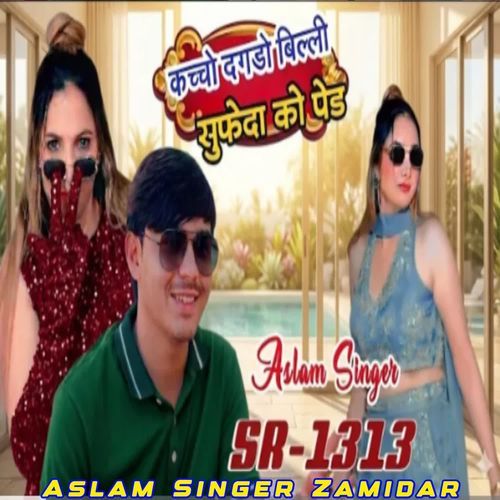 SR1313 Aslam Singer cover art