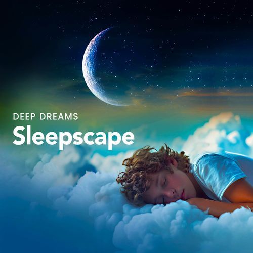 Sleepscape