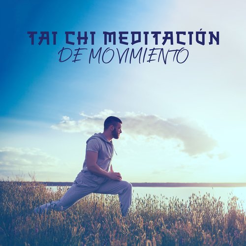 Tai Chi Meditación de Movimiento (Práctica de Artes Marciales Chinas con Meditación Consciente)_poster_image