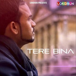 Tere Bina-GyQ9Ay1TeAE