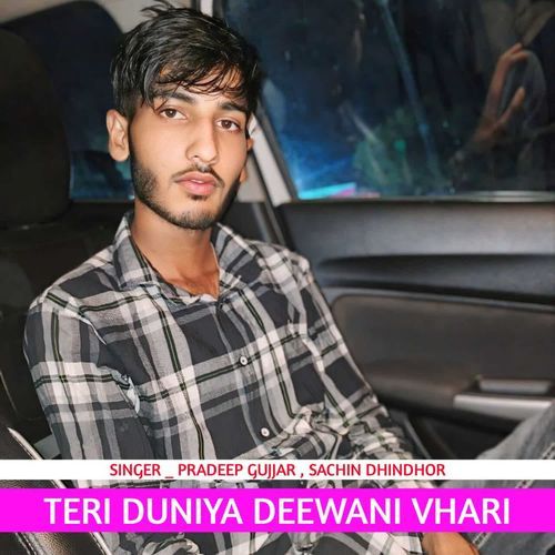 Teri Duniya Deewani Vhari