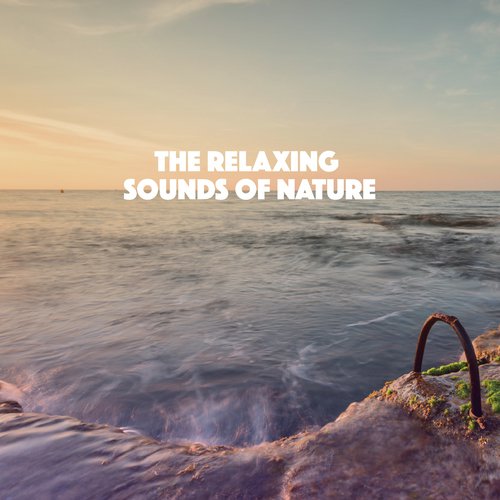 The Relaxing Sounds of Nature_poster_image