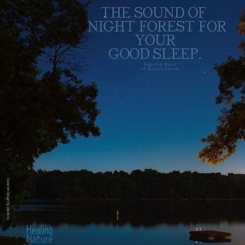 Night Forest Sound for Your Good Sleep, Pt. 10