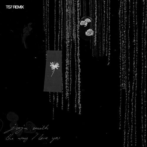 The Way I Love You (TS7 Remix)