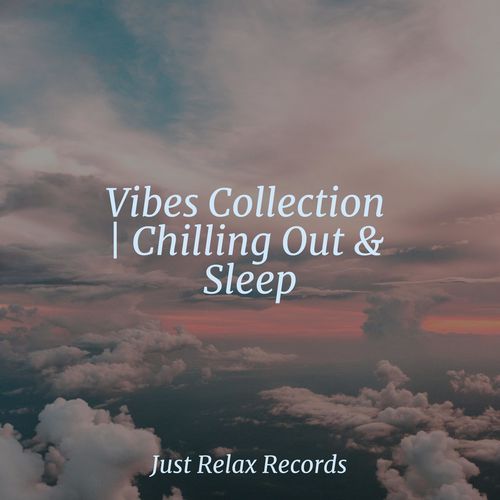 Vibes Collection | Chilling Out & Sleep_poster_image