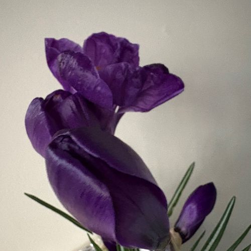최선의 인연 cover art