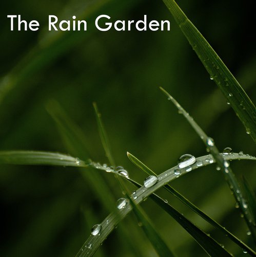 15 Rain Garden White Noise Rain Showers