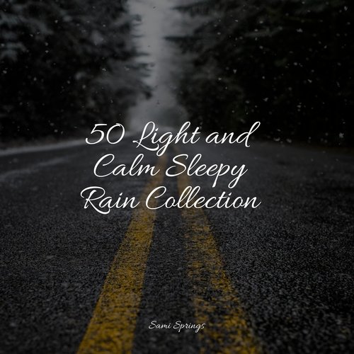 50 Light and Calm Sleepy Rain Collection_poster_image