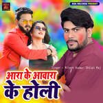 Ara Ke Awara Ke Holi