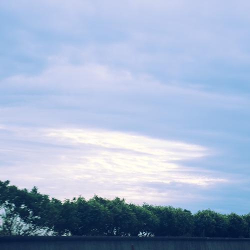 轻音乐优雅纯乐 (八音盒) cover art