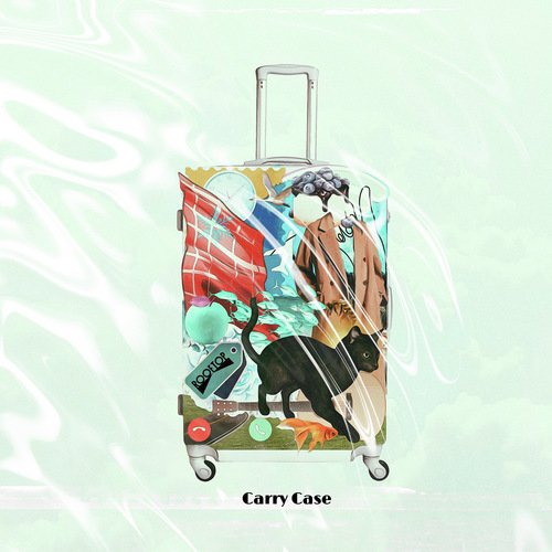 アリクアンド Lyrics - Carry Case - Only on JioSaavn
