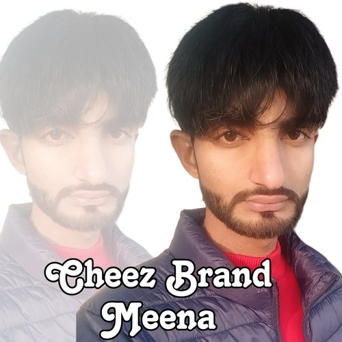 Cheez Brand Meena