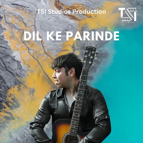 DIL KE PARINDE