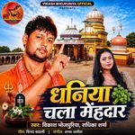 Dhaniya Chala Mehandar
