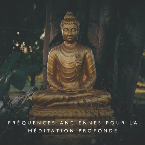 Chakra sacré cover art