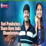 Hari Pandarima Tharo Maro Joda Bhandaroye
