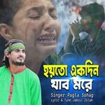 Hoyto Akdin Jabo More